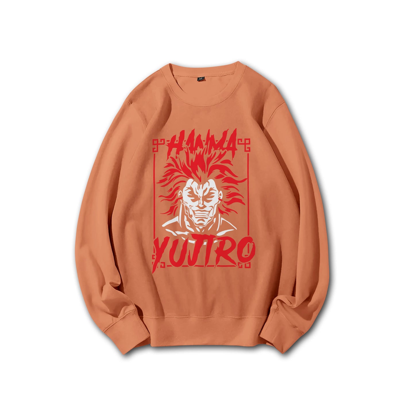 Sweat à capuche Attack on Titan Survey Corps
